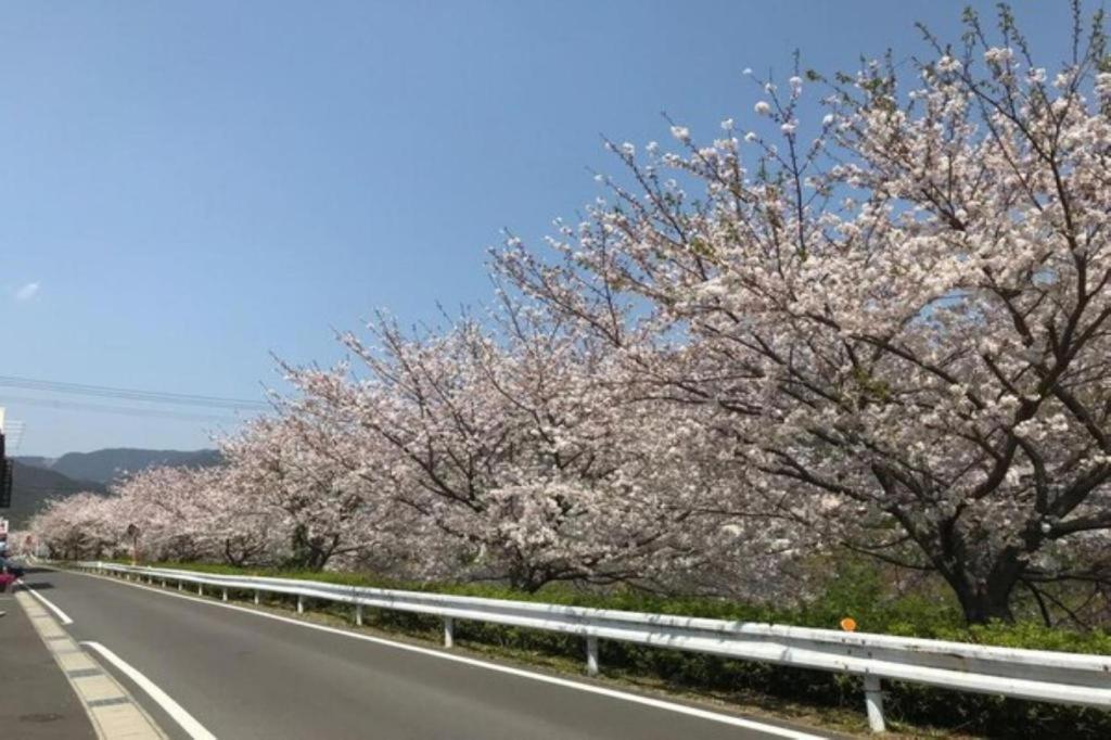 Business Hotel Kawakami Kumano Esterno foto
